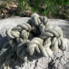 Node