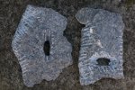 fragmente